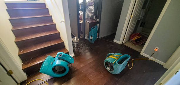Best Residential water damage restoration  in Fair Haven, NY