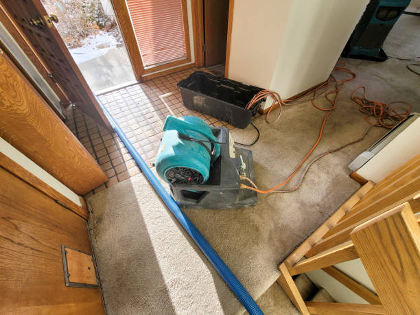 Best Mold removal after water damage  in Fair Haven, NY