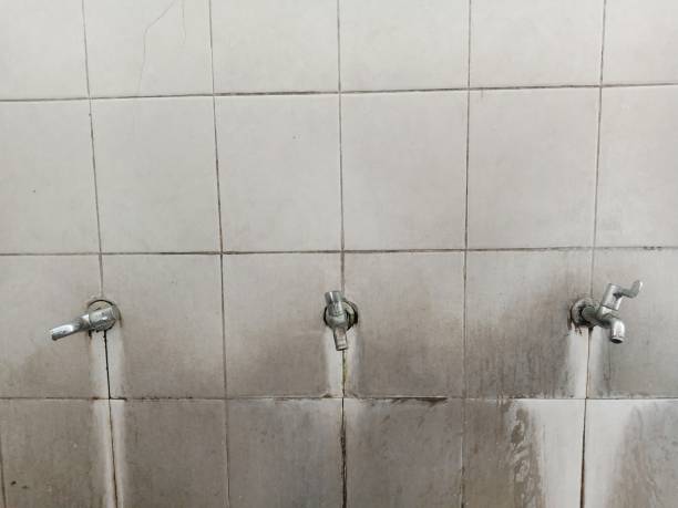 Best 24/7 water damage repair  in Fair Haven, NY