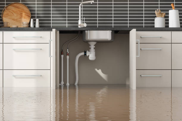 Best Ceiling water damage repair  in Fair Haven, NY
