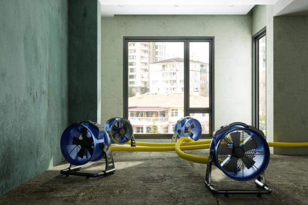 Best Professional water damage repair  in Fair Haven, NY